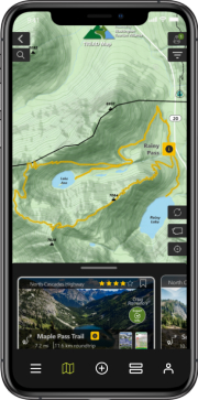 ai-focused-development