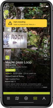 maple-pass-loop